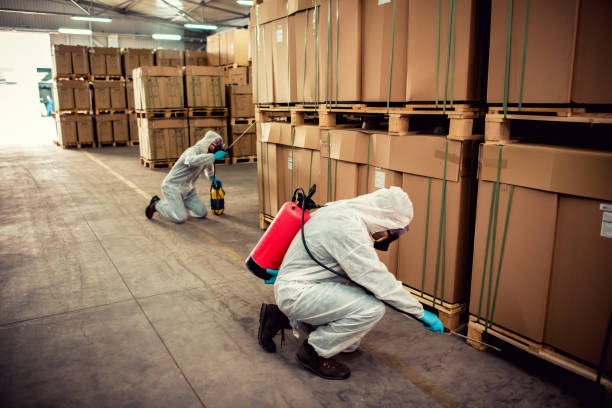 Best Termite Control Services  in Brentwood, TN