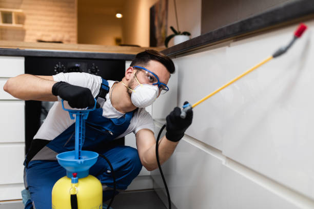 Best Affordable Pest Control Services  in Brentwood, TN