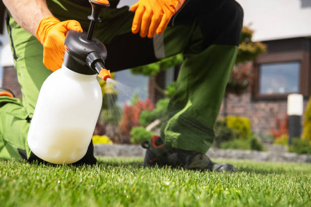 Best Pest Control for Businesses  in Brentwood, TN