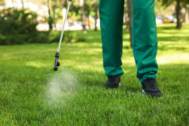 Professional Pest Control in Brentwood, TN