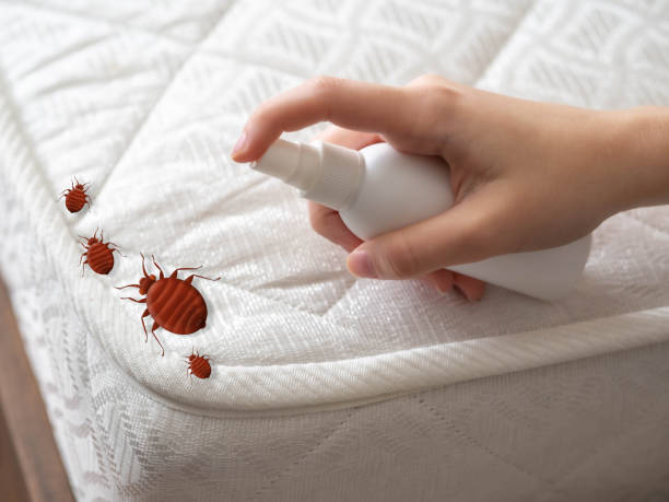 Best Pest Inspection Near Me  in Brentwood, TN