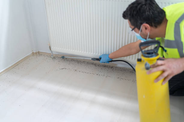 Best Affordable Exterminators  in Brentwood, TN