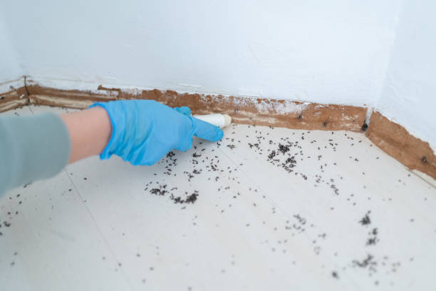 Best Best Pest Control Companies  in Brentwood, TN